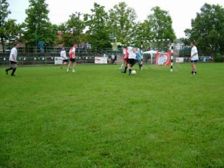 kupa135.jpg