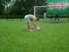 kupa96_small.jpg
