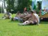 dscf1936_small.jpg