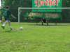 dscf1961_small.jpg
