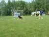 dscf2036_small.jpg