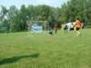 dscf2042_small.jpg