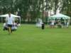 dscf6194_small.jpg