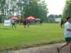 dscf6234_small.jpg