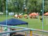 dscf6362_small.jpg