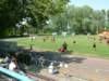 dscf6367_small.jpg