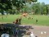 dscf6371_small.jpg