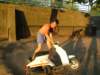 dscf6442_small.jpg