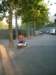 dscf6443_small.jpg