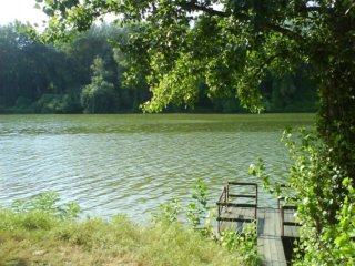 dsc00094.jpg