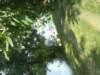 dsc00100_small.jpg