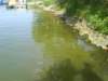 dsc00104_small.jpg