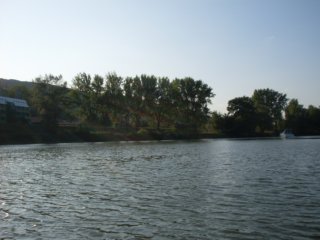 nyarals070.jpg