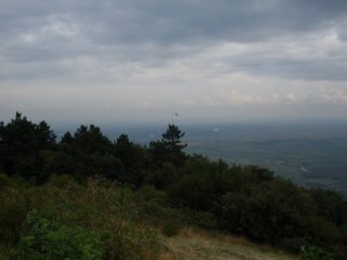 nyarals144.jpg