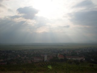 nyarals180.jpg